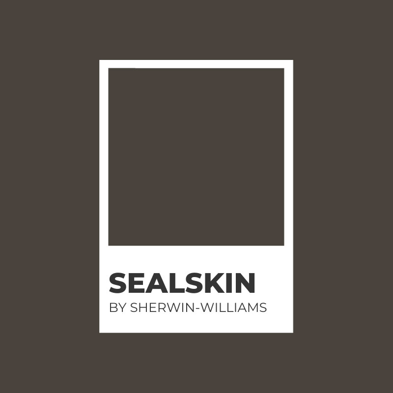 Sealskin Swatch